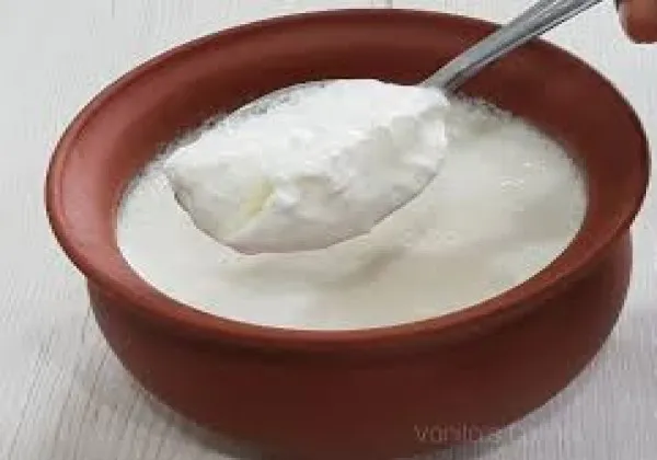 Curd 