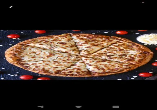 Veg Cheese Pizza 