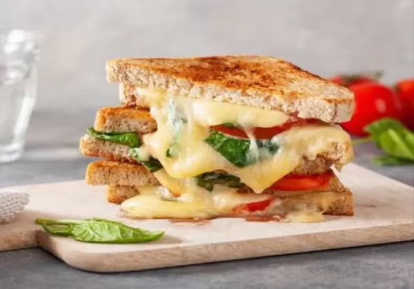 Jain Veg Cheese Sandwich