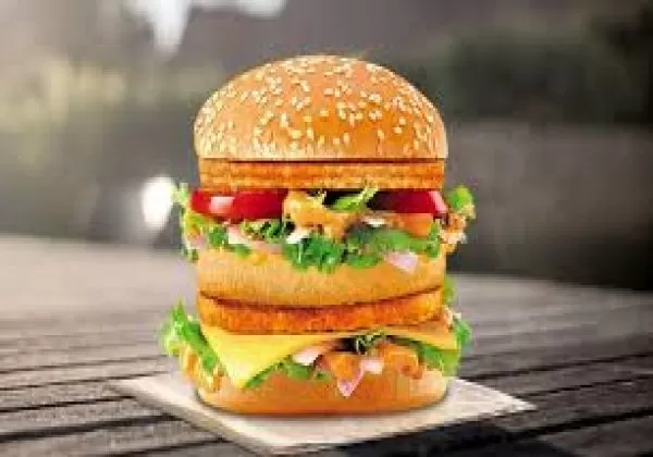 Statue Of Unity Burger 