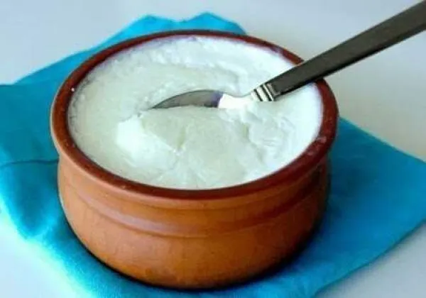 Plain Curd 
