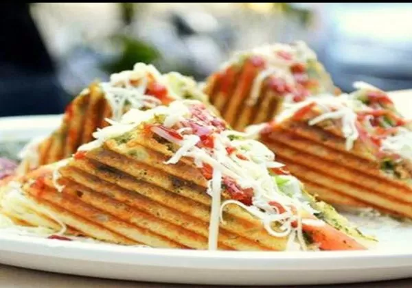 Spl Veg Cheese Sandwich 