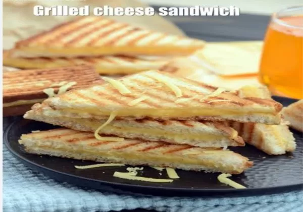 Tandoori Paneer Masala Sandwich