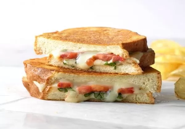 Tomato Cheese Grill Sandwich